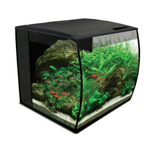 楽天市場】gex aqua uの通販 楽天市場】gex aqua uの通販