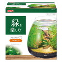 アクアFサマーセール品!【GEX】グラスアクアリウム ティアー 神戸店在庫人気商品!限定10台