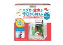 【テトラ】おさかな飼育 静かなセット PL-17SF