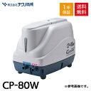 【中古エアーポンプ】テクノ高槻 CP-80W DUO-80の従来機 日立ハウステック 浄化槽 エアーポンプ ブロワー ブロワ ポンプ 消耗品交換 整備品 動作確認済 2つ口 左ばっ気 右ばっ気