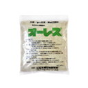 オーレス500 (500g) 1袋 浄化槽促進剤 浄化槽用品消臭剤 塩素剤 浄化槽用塩素剤 浄化槽 ブロワー ブロワ エアポンプ ブロアー ブロア