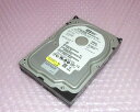 HP 381648-002 80GB SATA 3.5インチ Western Digital WD800JD 中古ハードディスク