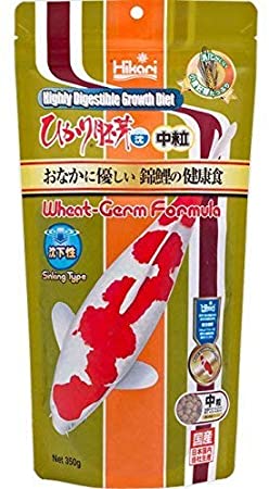 キョーリン/ひかり胚芽沈中粒/350g