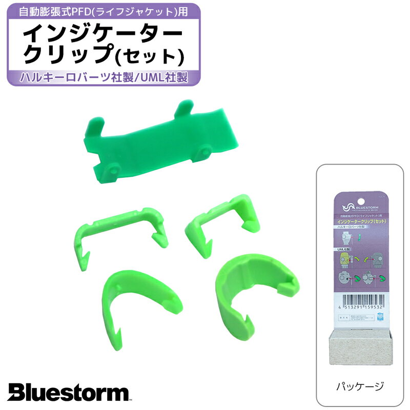 ԥ5  ֹ6009 ̿ƹĥѥ󥸥å ⳬ̿ BLUESTORM