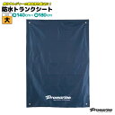 防水トランクシート 大 PLG001 釣り 140cm×180cm カー用品 PVCコーティング 車グッズ フィッシング レジャー 海水浴 川遊び プロマリン