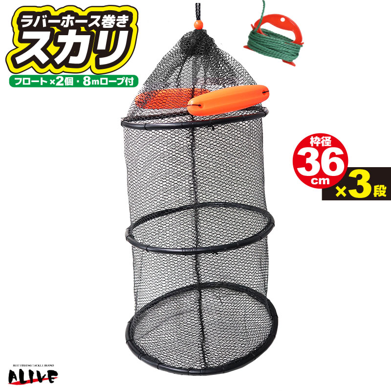 Сۡ  ȷ36cm3 ե2 8m KG-308 ALIVE 饤