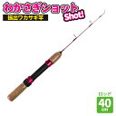 わかさぎ釣り用ロッド わかさぎショット40 ファミリー初心者用 プロマリン(PRO MARINE) ワカサギ 釣具 フィッシング