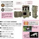 屋外型センサーカメラ トロフィーカム XLT 30MP ノーグロウDC カラーモニター内蔵　ブッシュネル（日本正規品） 取り寄せ商品 2