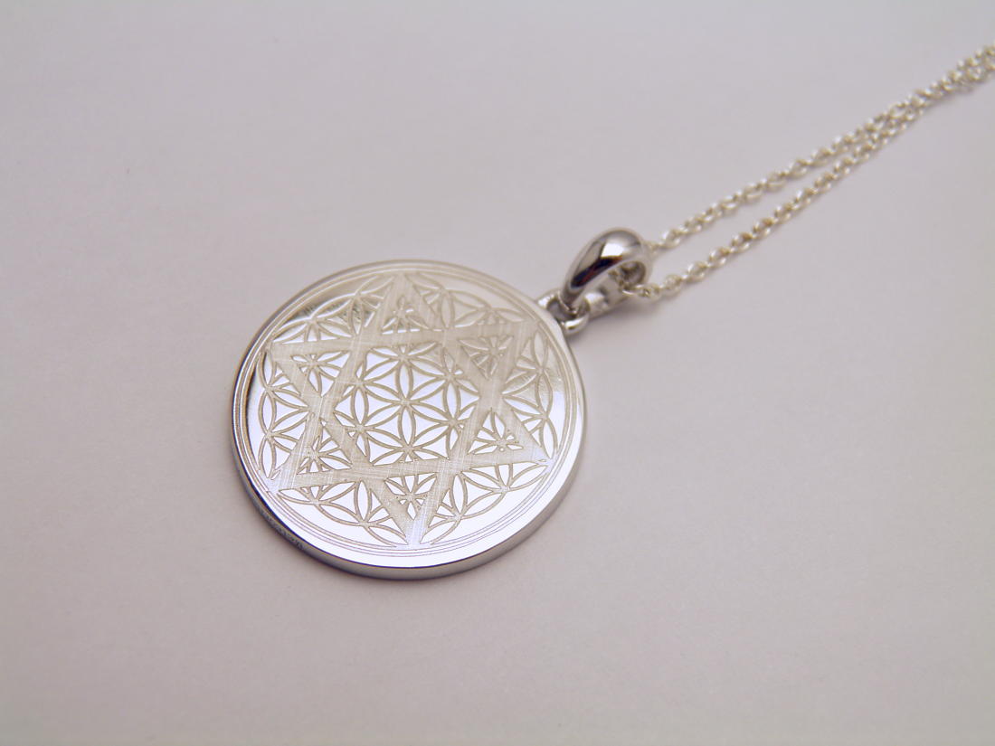 ギベオン隕石 シルバーPT ネックレス サークル型 Sサイズ 六芒星FOL 20mm 送料無料 天然石 パワーストーン / インペリアルオーラ おしゃれ かわいい オシャレ 可愛い プレゼント ギフト 贈り物