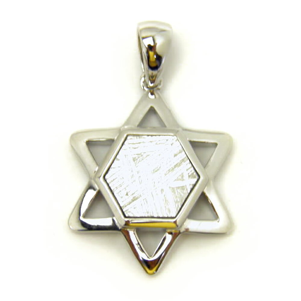 メテオライト(ギベオン隕石)六芒星ギベオンデザインペンダントトップ 縦約19mm SILVER925 送料無料 天然石 パワーストーン プチギフト 転勤 退職 ...