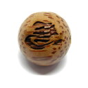 左馬 ウッドビーズ 横穴貫通 20mm 椰子 セミラウンド【穴あり一粒売りビーズ】 / 天然石、パワーストーンの専門店インペリアルオーラ おしゃれ かわいい オ...