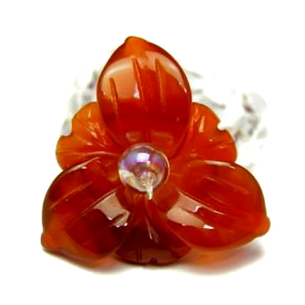 AR0004꡼ۥϥӥ 󥰡 åɥΥ (ӡ) ŷ ѥȡ ץե ž ࿦   Ϸ ...