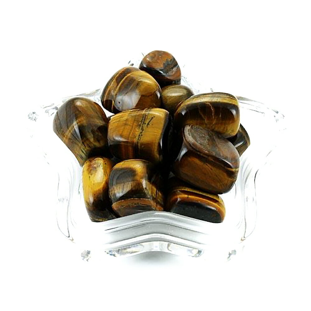 ����֥� ������������ 500g�ѥå� ŷ���� �ѥ���ȡ��� / ����ڥꥢ�륪���� ������� ���襤�� ������� �İ��� �ץ쥼��� ���ե� £��ʪ