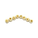 彫刻ビーズ 欅 ケヤキビーズ 20mm 素彫り タイプ1 里見八犬伝 セット売り セミラウンド 八徳「仁・義・礼・智・忠・信・孝・悌」パワーストーン / インペ...