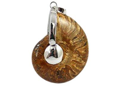 アンモナイトペンダントトップ プチギフト 転勤 退職 お礼 母の日 敬老の日 ギフト / 天然石、パワーストーンの専門店インペリアルオーラ おしゃれ かわいい ...