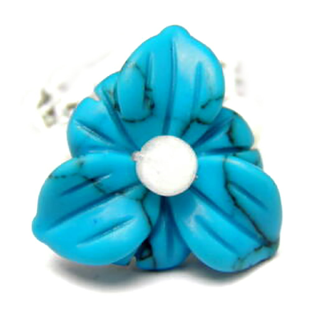 AR0004꡼ۥϥӥ 󥰡  (ӡ) ŷ ѥȡ ץե ž ࿦   Ϸ ꥹ...