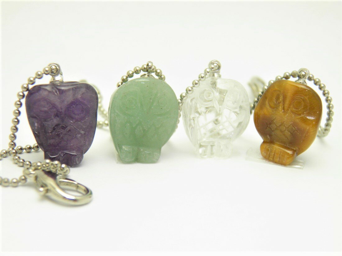 ӥȥå դܡ󥹥ȥå ŷ  ѥȡ ץե ž ࿦   Ϸ ե / ڥꥢ륪 ...