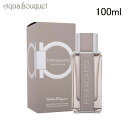 サルヴァトーレ フェラガモ フェラガモ ブライトレザー 100ml 香水 メンズ SALVATORE FERRAGAMO FERRAGAMO BRIGHT LEATHER EDT [3F-S]