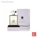 楽天アクアブーケ楽天市場店アムアージュ リフレクション マン オードパルファム 100ml 香水 メンズ AMOUAGE REFLECTION MAN EDP [2055]