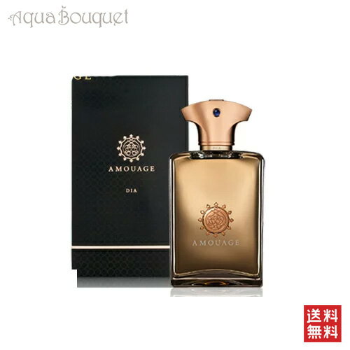 【マラソン期間限定！ポイント10倍】アムアージュ ディア マン オードパルファム 100ml 香水 メンズ AMOUAGE DIA MAN EDP [0960]