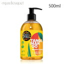 y5/1I|Cg10{zgDbeB t[eB[ ^S }S[ nh\[v 500ml TUTTI FRUTTI TANGO MANGO HAND SOAP