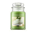 ヤンキーキャンドル ヤンキー キャンドル バニラ ライム ジャーL ハウスウォーマー 623g YANKEE CANDLE VANILLA LIME HOUSEWARMER