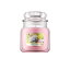 ڥȥ꡼ǥݥȺ20ܡ12/1ۥ󥭡 ɥ ˡ ǥɥ꡼ 㡼M ϥޡ 411g YANKEE CANDLE SUNNY DAYDREAM HOUSEWARMER