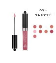 ブルジョワ グロス ファビュルー リップ グロス ベリー タレンテッド (08 BERRY TALENTED) 3,5ml BOURJOIS GLOSS FABULEUX LIP GLOSS クリア リップカラー