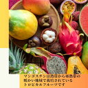 【3個ご購入で1000円OFFクーポンあり】 タイ産冷凍 マンゴスチン 2kg【冷凍品】 南国フルーツ トロピカルフルーツ 父の日