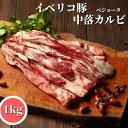  スペイン産 イベリコ豚 中落ちカルビ ベジョータ 1kg  送料無料 業務用 大容量 冷凍 スペイン 豚バラ 中落カルビ リブフィンガー スペアリブ バラ肉 ばら肉 バラブロック ブロック 精肉 生肉 お取り寄せ グルメ 高級