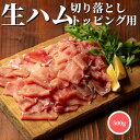 【3個ご購入で1000円OFFクーポンあり】 国産 生ハム 切り落とし トッピング用 500g 【冷凍品】 送料無料 業務用 大容量 切り落し 切りおとし 切落し 切落とし スライス 訳あり お徳用 端材