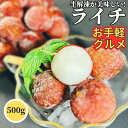 【1200円以下お手軽グルメ】 冷凍 ライチ 500g【冷凍品】 レイシ 中国原料 トロピカルフルーツ 南国フルーツ ギフト スイーツ おやつ デザート 誕生日...