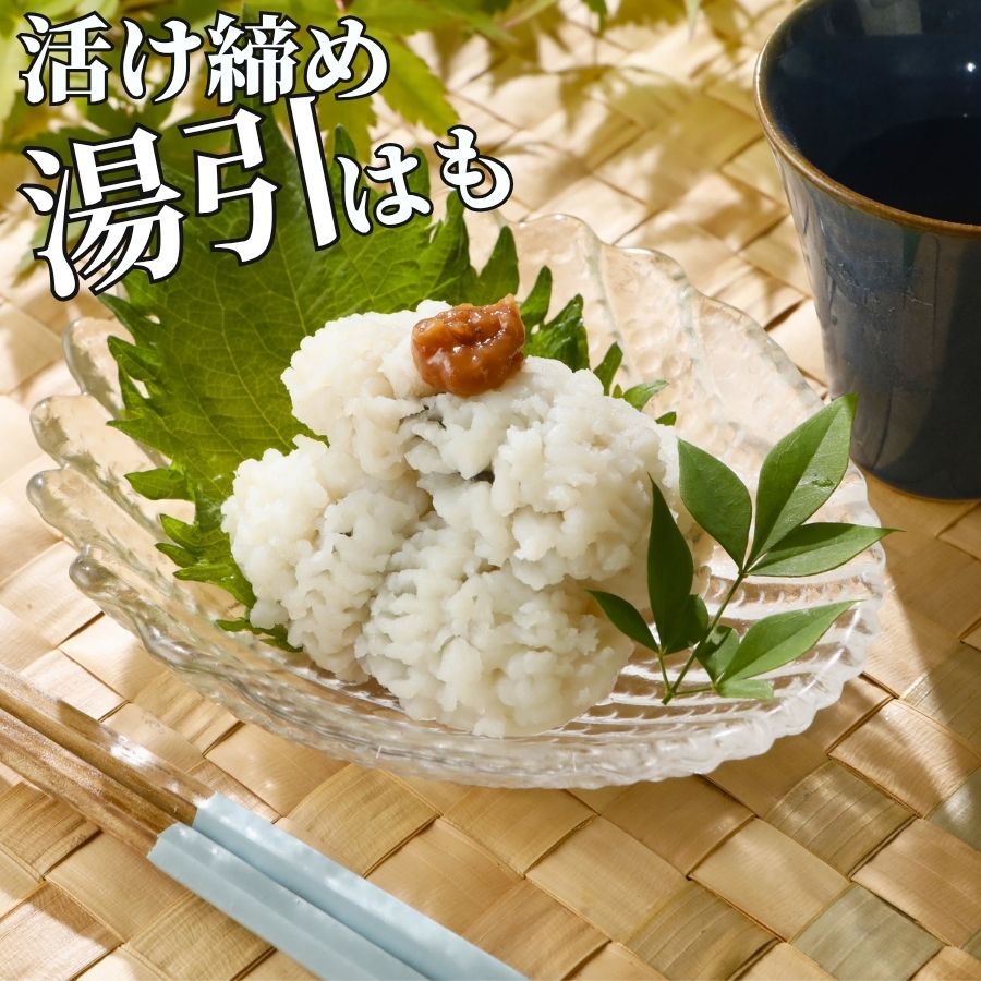 乐天商城 - 涼を味わう 湯引き鱧 500g 【冷凍品】 湯引鱧 はも ハモ 湯引き 刺身 冷凍 お取り寄せ 国産 愛媛 活け締め 骨切り 業務用 送料無料 大容量 ギフト お中元 簡単調理 解凍だけ 落とし 落し