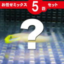 ハゼ MIX 5匹セット 海水魚 生体 ハゼ 15時までのご注文で当日発送(t121