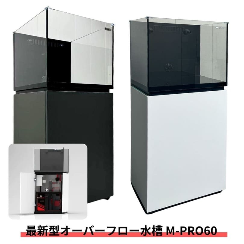 楽天市場】オーバーフロー 水槽セット(ペット・ペットグッズ 楽天市場】オーバーフロー 水槽セット(ペット・ペットグッズ