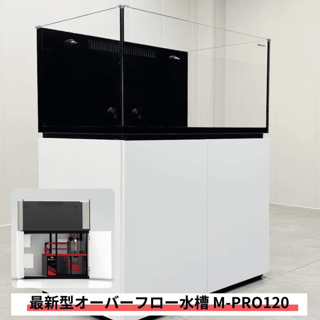 楽天市場】120cm(水槽|水槽・アクアリウム):熱帯魚 楽天市場】120cm(水槽|水槽・アクアリウム):熱帯魚
