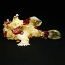 【現物8】クマドリカエルアンコウ 9cm! 海水魚 アンコウ 15時までのご注文で当日発送(t126(t207