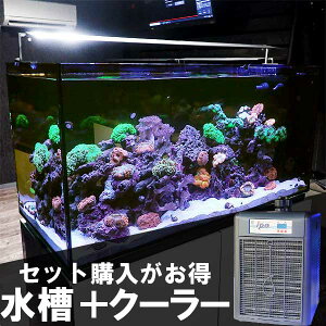 クーラーセット P1 水槽 オーバーフロー水槽 ペニンシュラ 全国配送対応 P1 ネプチューンキューブp1 アクアギフト店 海水魚 サンゴ飼育のために設計されたシステム水槽 1 横 55 奥 60 高 Cm オーバーフロー水槽 クーラーセット P1 水槽 オーバーフロー水槽 ペニンシュラ 全国配送対応 P1 ネプチューンキューブp1 アクアギフト店 海水魚 サンゴ飼育のために設計されたシステム水槽 1 横 55 奥 60 高 Cm オーバーフロー水槽