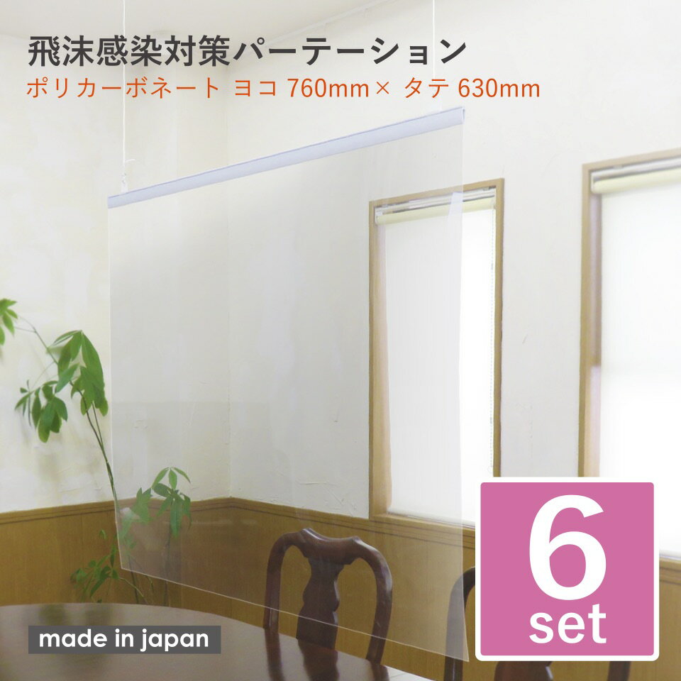 【即使えるクーポン配布中！】 天吊り 6枚セット 感染飛沫対策 パーテーション 素材：ポリカーボネート 横760mm 縦630mm 送料無料