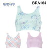 20%OFF拾̲ʳBRA164ʥȥåץ֥Хȥ䤹ߥ֥ѥ֥饸㡼ץ뤪ǰؿͥ饯֥İǥ꡼֥ߥͥȥå˥åȥ󥰥顼Ź¤괶å