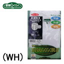 50%OFF セール グンゼ 愛情らくらく モレを吸収する 紳士用 メンズ 失禁 ブリーフ 快適 パンツ ゆったりLLサイズ 清潔 ケアライフ制菌 乾燥機対応 ...