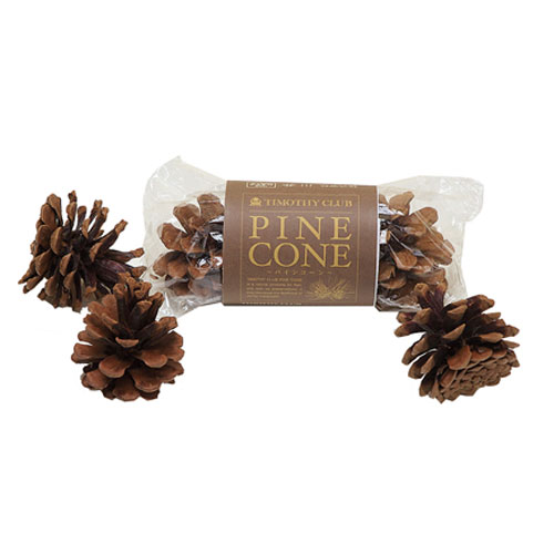 川井 カワイ パインコーン PINE CONE