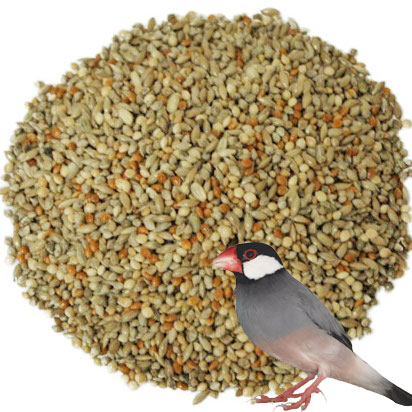 小鳥の餌 オリジナル 文鳥の基本食（皮付き）450g