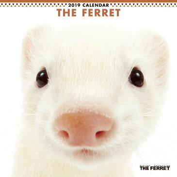 2019年カレンダー　THE FERRET(フェレット）【オリジナルBIGステッカー付き】