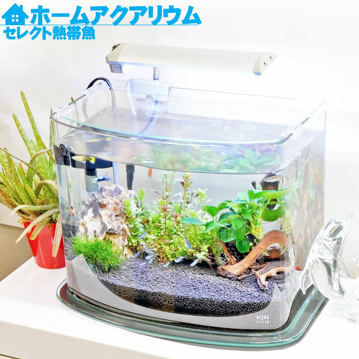 水槽 36cm ホームアクアリウムオールセット【40×24×29cm 18L】セレクト熱帯魚 水槽セット 36cm水槽 アクアシステム ルノアール360 ろ過 フィルター LED照明 カルキ抜き 水草 保護マット フタ フタ受け付属 オールガラス アクアリウム 送料無料【熱帯魚 初心者セット】