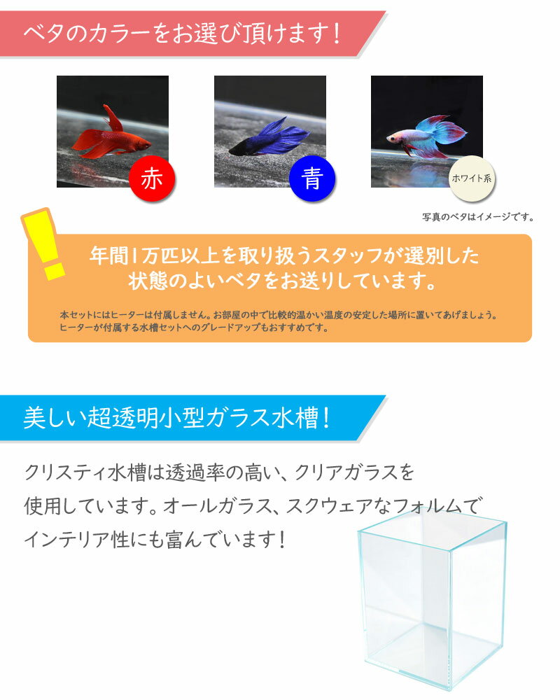 ���� �ۡ��ॢ�����ꥦ�४���륻�å� ��ñ �٥����饻�å� 13�����å� ���奻�å� �����������ƥ� ���ꥹ�ƥ�1520 ���� Ǯ�ӵ� �ݸ�ޥå� ĶƩ�� ���ꥢ���饹 LED�ޥ��ͥåȥ饤�� ���륭ȴ�� �Х��ƥꥢ �ߥͥ��ź�� �鿴�� ����ƥꥢ �����륬�饹 ����̵��