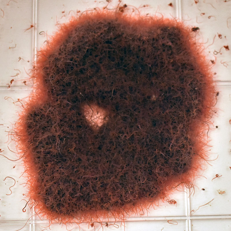 ����(���ȥߥߥ�) �褭���� ���ȥ� �����ɹ� ��� ����� Ǯ�ӵ� ���� �� ��������ȯ�� Ʊ���Բ�