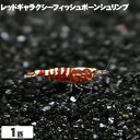 (シュリンプ) レッドギャラクシーフィッシュボーンシュリンプ Aグレード (1～1.5cm±) 【1匹】 エビ 観賞魚 アクアリウム