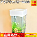 【在庫処分】アクアキャノピー3030 アクアシステム 30cm 水槽 帽子 目隠し インテリア 組立済み アクアリウム 用品