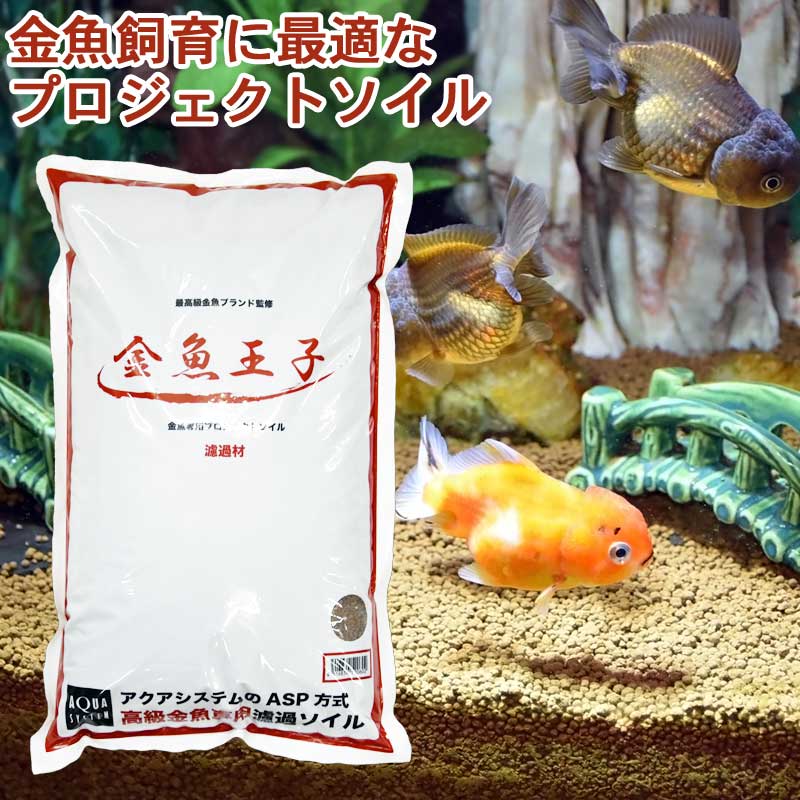 【お取り寄せ】ジェックス ベストバイオ サンド 0.6L グッズ 観賞魚 ペット